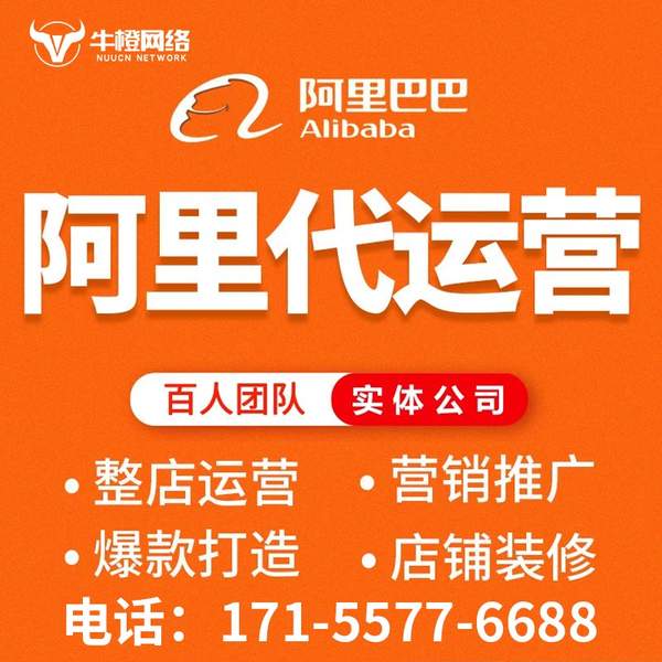 钦州电商代运营