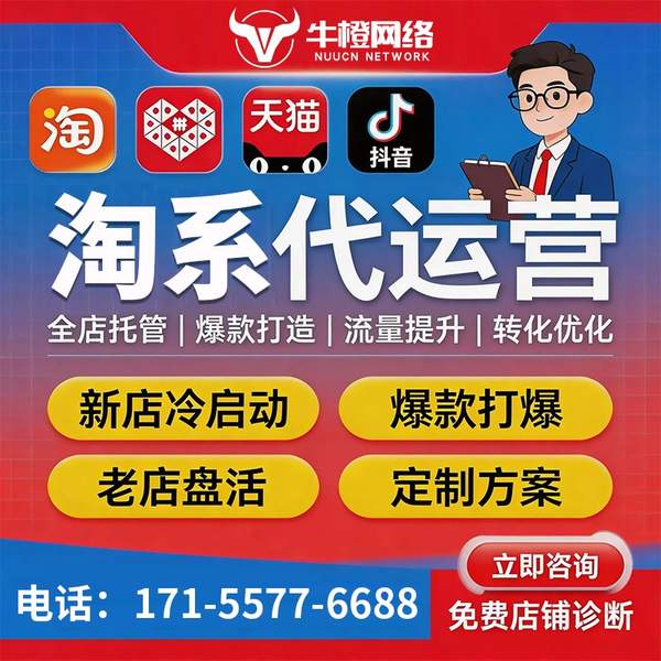 钦州电商代运营