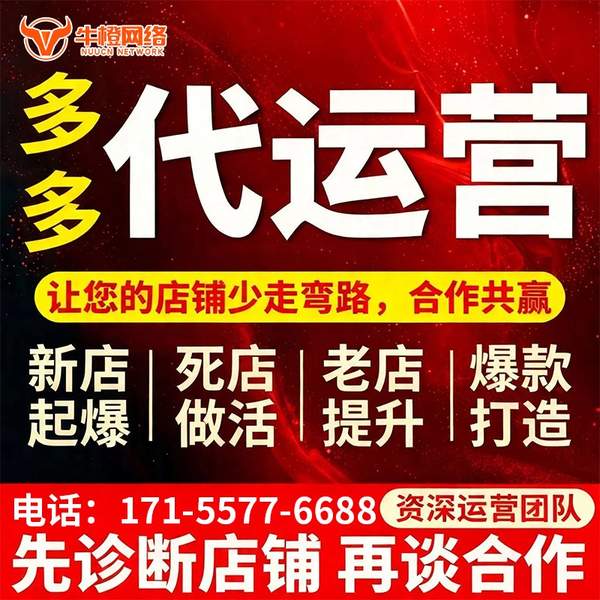 钦州电商代运营