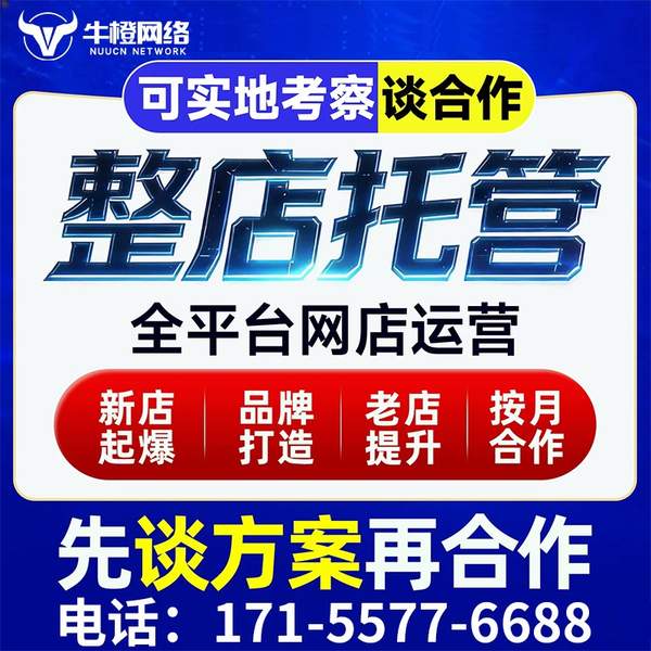 钦州电商代运营