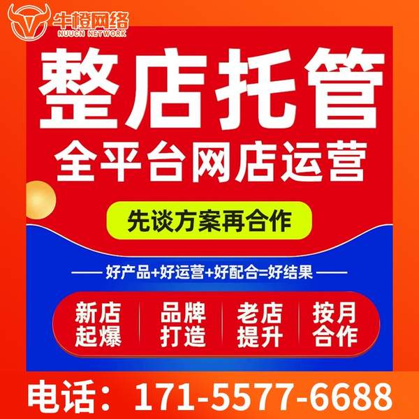 钦州电商代运营