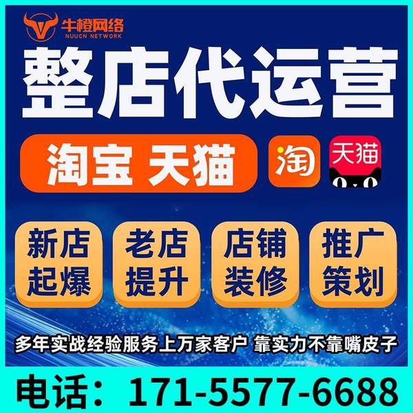 钦州电商代运营