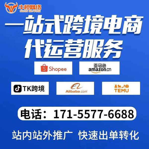 钦州电商代运营