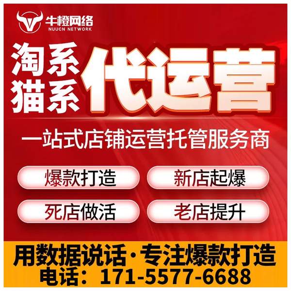 钦州电商代运营